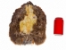 Ringneck Pheasant without Tail: #1: Natural Color - 6-RP1-NAT-NT (Y3J)