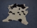 Calf Skin: Assorted - 62-00-AS (Y2ORH)