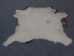 Calf Skin: Assorted - 62-00-AS (Y2ORH)