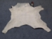 Calf Skin: Assorted - 62-00-AS (Y2ORH)