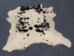 Calf Skin: Assorted - 62-00-AS (Y2ORH)