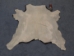 Calf Skin: Assorted - 62-00-AS (Y2ORH)