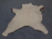 Calf Skin: Assorted - 62-00-AS (Y2ORH)
