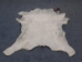 Calf Skin: Assorted - 62-00-AS (Y2ORH)