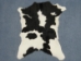 Calf Skin: Assorted - 62-00-AS (Y2ORH)