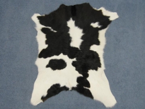 Calf Skin: Assorted 