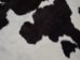 Sheared Calf Skin: Assorted (sq ft) - 62-05-AS (Y2ORM)