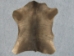 Calf Slink Skin - 62-50-xxx-AS