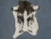 Calf Slink Skin - 62-50-xxx-AS