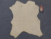 Unborn Calf Skin: B Grade: Medium: Assorted - 62-5B-M-AS (Y1GRJ)