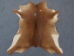 Unborn Calf Skin: B Grade: Medium: Assorted - 62-5B-M-AS (Y1GRJ)