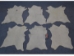 Unborn Calf Skin: B Grade: Medium: Assorted - 62-5B-M-AS (Y1GRJ)