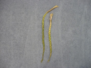 Non-Native Sweetgrass Braid 