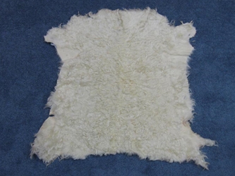 Sheared Angora Goatskin: #1: Large: White: Assorted 