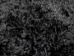 Dyed Angora Goatskin: #1: Black: Large: Assorted - 66-A1L-BK-AS (Y3DRC)