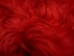 Dyed Kidassia Goatskin Plate: Red - 66-GPK-A002 (Y1KRF)