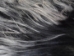 Kidassia Goatskin Plate: Snowtop: Black with White Tips - 66-GPK-B014 (Y1KRE)