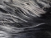 Kidassia Goatskin Plate: Snowtop: Black with White Tips - 66-GPK-B014 (L20)