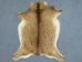 Printed Goat Hide: Medium: Axis Pattern - 66-P1-M (Y2LRL)