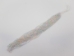 11/0 Seedbead Pearl Mix (500 g bag) - 66401017 (Y1R)