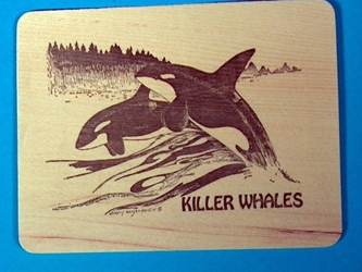Killer Whales Wooden Postcard 