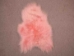 Dyed Icelandic Sheepskin:Light Coral:  90-100cm or 36" to 40" - 7-00LC-AS (Y1LRJ)