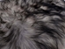 Dyed Icelandic Sheepskin: Silver Dark Tops:  90-100cm or 36" to 40" - 7-00SD-AS (Y1E)