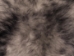 Dyed Icelandic Sheepskin: Light Silver Dark Tops:  90-100cm or 36" to 40" - 7-00SL-AS (Y1LRJ)