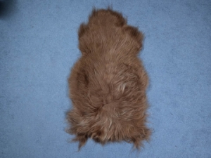 Dyed Icelandic Sheepskin: Nougat: 110-120cm or 44" to 48" 