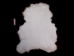 Icelandic Sheepskin Shearling: Suede: White Cream: 20-22mm (sq ft) - 7-50-WCR20-AS (Y1L)