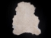 Icelandic Sheepskin Shearling: Suede: White Cream: 20-22mm (sq ft) - 7-50-WCR20-AS (Y1L)