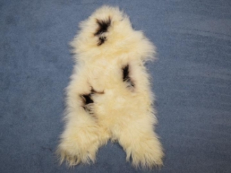 Icelandic Sheepskin: Piebald: 100-110cm or 40" to 44" 