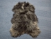 Icelandic Sheepskin: Gray: 90-100cm or 36" to 40" - 7-005-AS (Y1E)