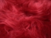 Dyed Icelandic Sheepskin: Red:  90-100cm or 36" to 40" - 7-00RD-AS (Y1LRS)