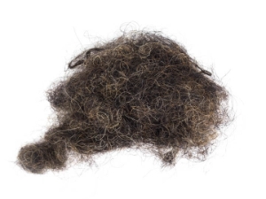 Curled Horse Hair: Mixed Natural Colors (lb) 