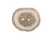 Cross-Cut 2-Hole Caribou Antler Button: 1.5-2.0" - 74-20-1.5 (Y1MC14)