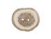 Cross-Cut 2-Hole Caribou Antler Button: 1.5-2.0&quot; - 74-20-1.5 (Y1M)