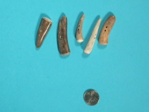 Polished Caribou Antler Tip Button 