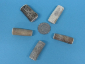 Caribou Antler Hairpipe Beads 