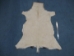 Hungarian Fallow Deer Hide: Winter Phase - 744-W-AS (Y1HRE)