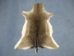 Hungarian Fallow Deer Hide: Winter Phase - 744-W-AS (Y1HRE)