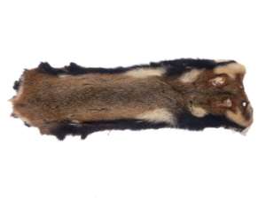 Hamster Skin 