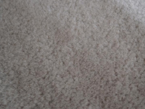 Dyed Australian Sheepskin Shearling: 1": Camel (sq ft) 