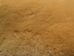 Dyed Australian Sheepskin Shearling: 1&quot;: Gold (sq ft) - 78-11-009 (Y1J)