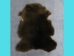 Dyed Australian Sheepskin Shearling: 1": Dark Brown (sq ft) - 78-11-013 (Y1JRO)