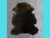 Dyed Australian Sheepskin Shearling: 1&quot;: Dark Brown (sq ft) - 78-11-013 (Y1J)