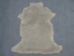 Dyed Australian Sheepskin Shearling: 1": Silver Gray (sq ft) - 78-11-017 (Y1JRM)