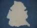 Dyed Australian Sheepskin Shearling: 1": Honey (sq ft) - 78-11-025 (Y1JRP)