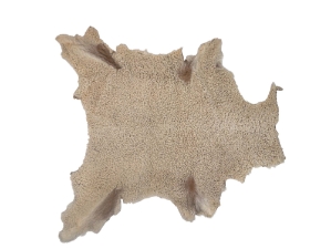 Gloving Grade Lamb Slink: Natural Colors: Champagne Suede 