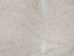 Lining Grade Lamb Slink: Off-White - 78-50-3CWH (Y1GRJ)